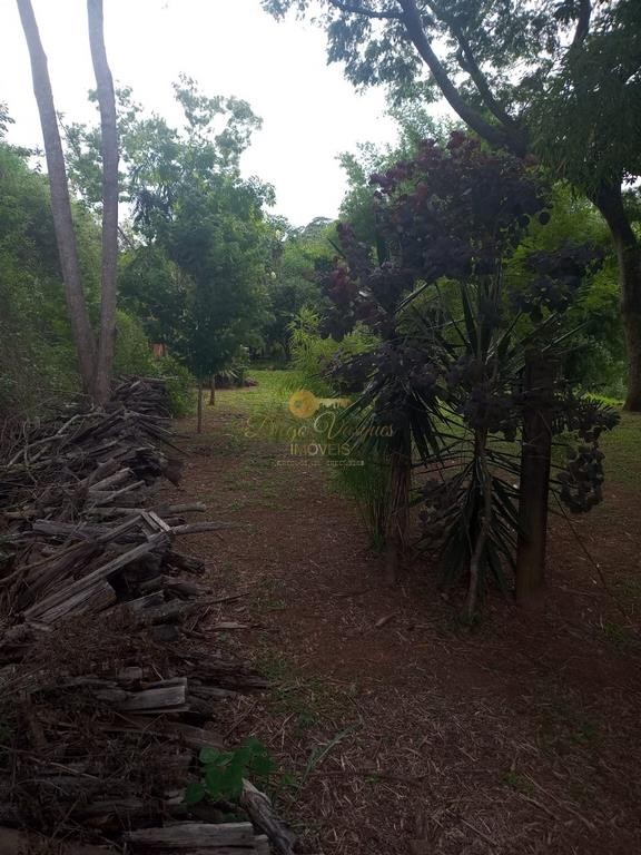 Terreno à venda, 20800m² - Foto 2