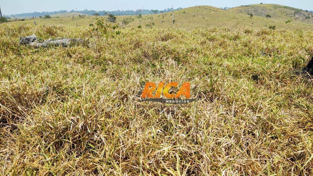 Fazenda à venda com 2 quartos, 39370000M2 - Foto 27