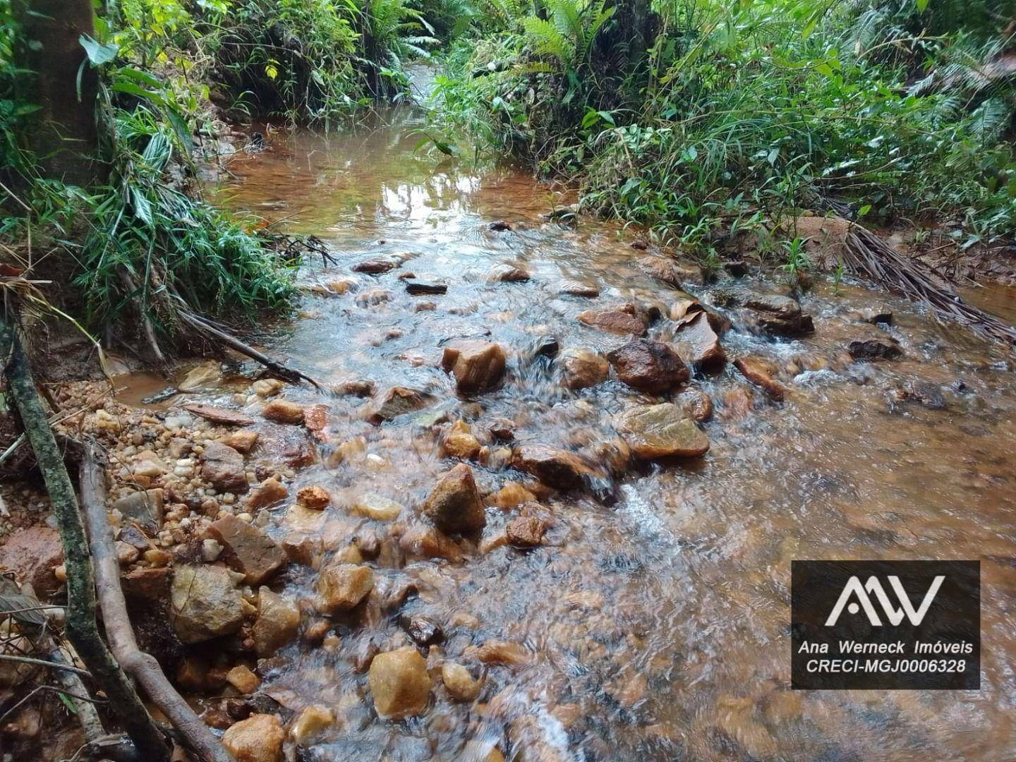 Chácara à venda com 1 quarto, 150000M2 - Foto 11