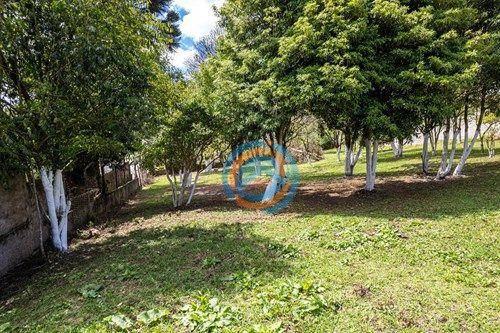 Terreno, 3300 m² - Foto 15