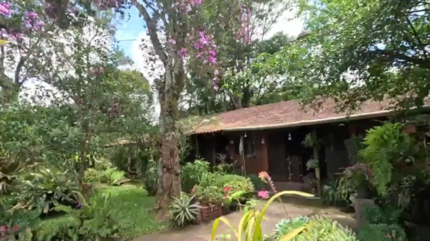 Sítio à venda com 8 quartos, 20000m² - Foto 5