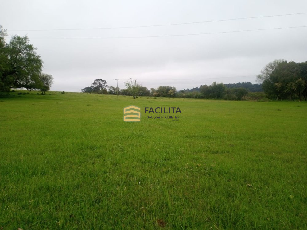 Fazenda-Sítio-Chácara, 50 hectares - Foto 1