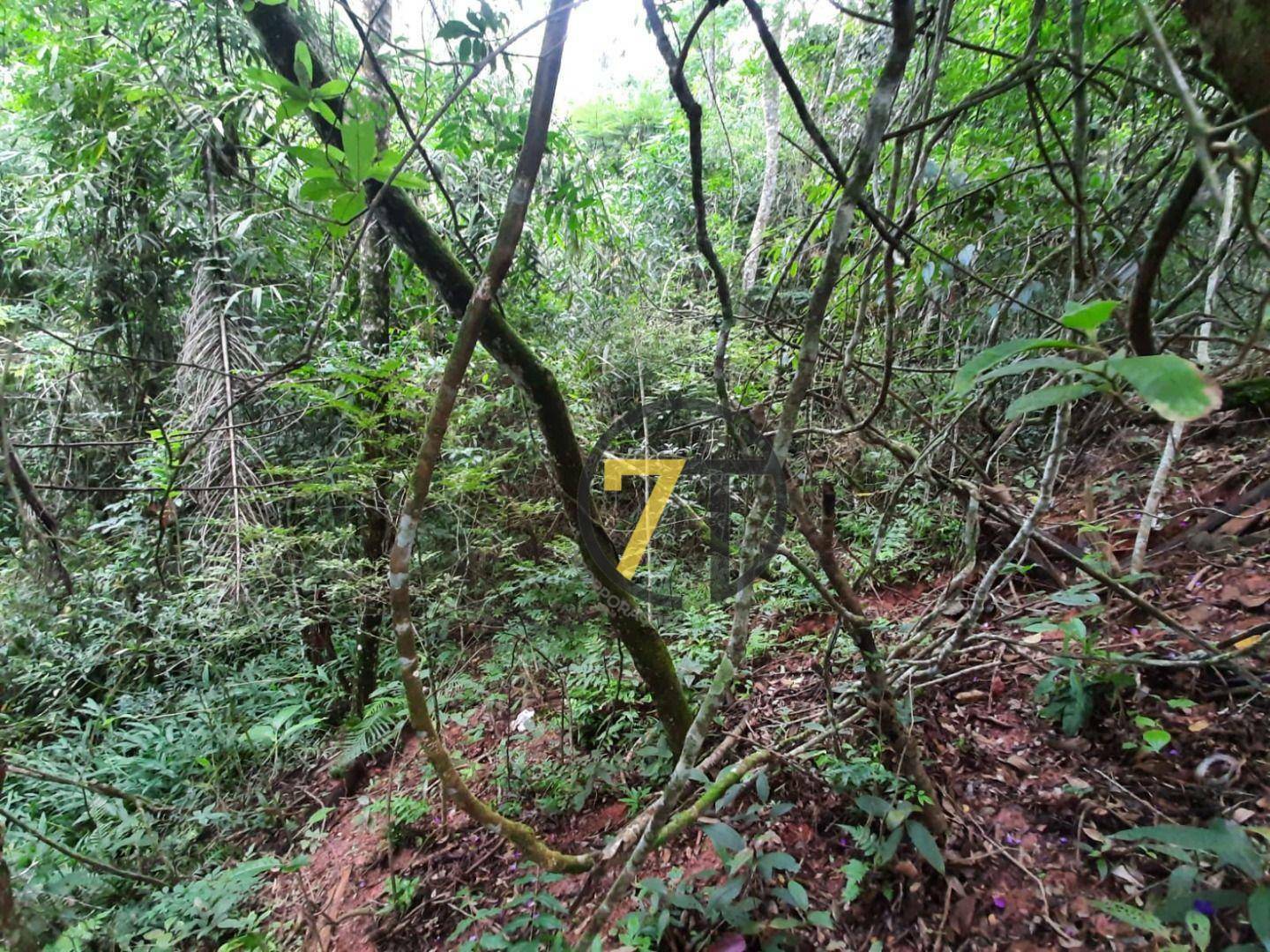 Loteamento e Condomínio à venda, 2239M2 - Foto 15