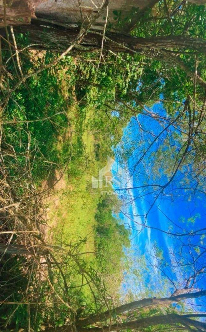 Terreno, 10000 m² - Foto 4