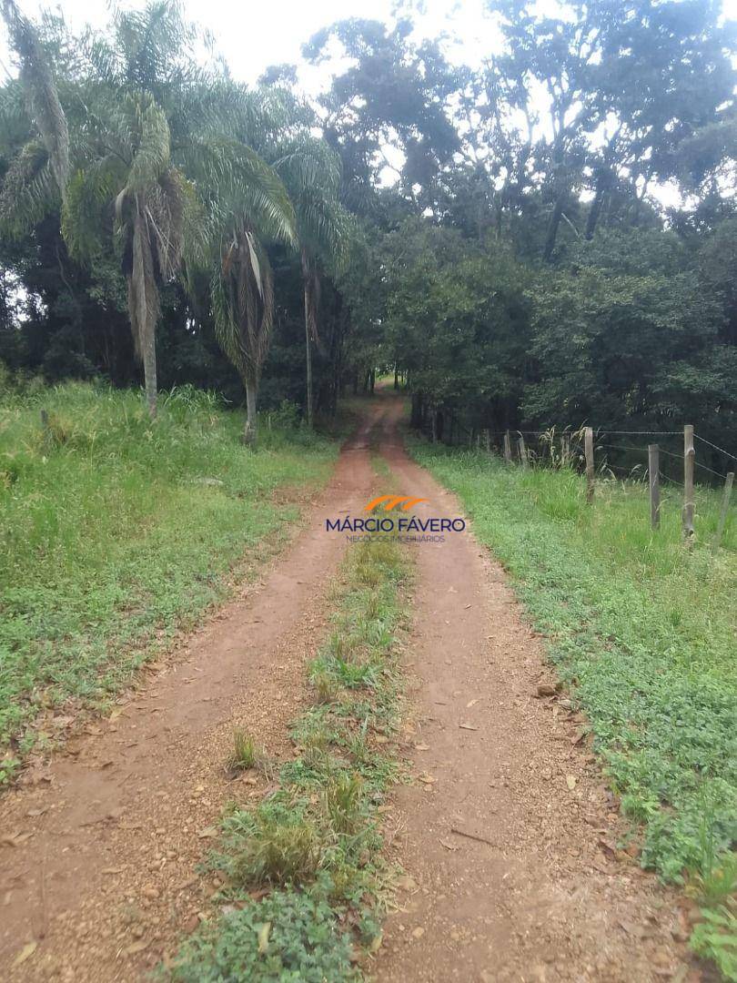 Fazenda, 102 hectares - Foto 10