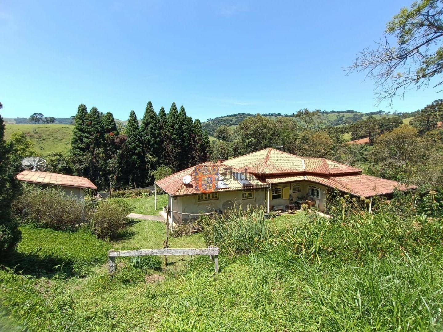 Sítio, 7 quartos, 8 hectares - Foto 1