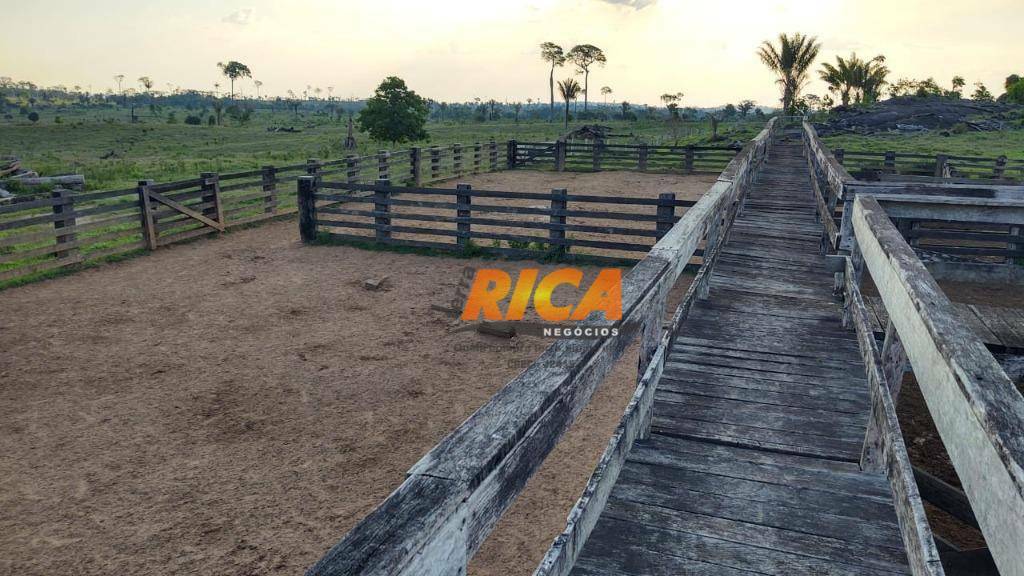 Fazenda à venda com 4 quartos, 99000000M2 - Foto 11