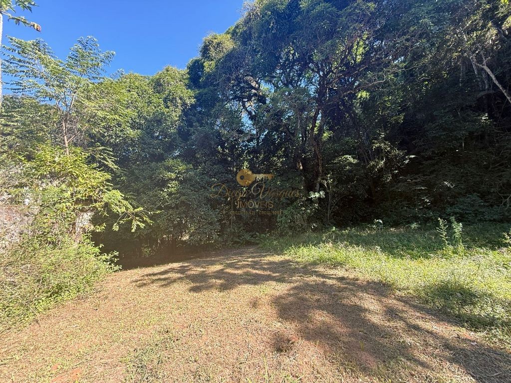 Sítio à venda, 124000m² - Foto 18