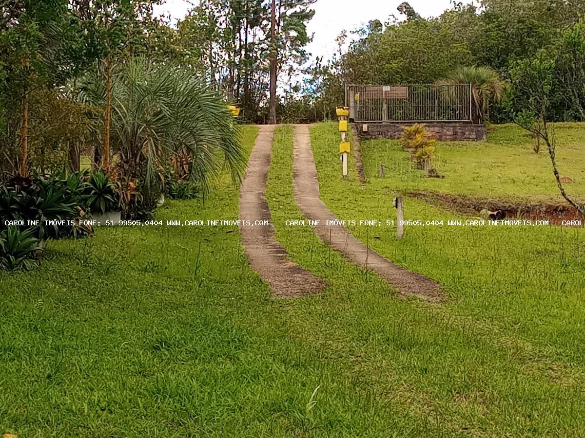 Fazenda à venda com 3 quartos, 29000m² - Foto 16