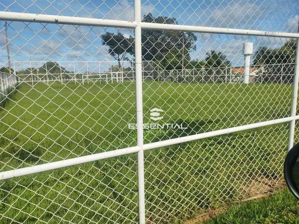 Sítio à venda com 3 quartos, 30250M2 - Foto 3
