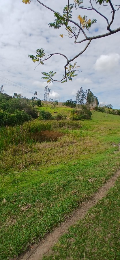 Sítio à venda com 3 quartos, 67000m² - Foto 36