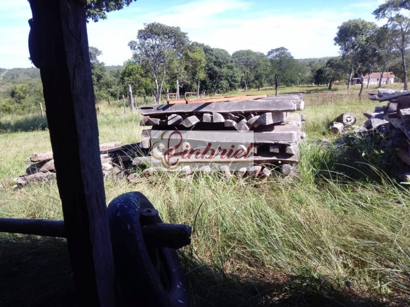 Fazenda à venda, 11000000m² - Foto 7