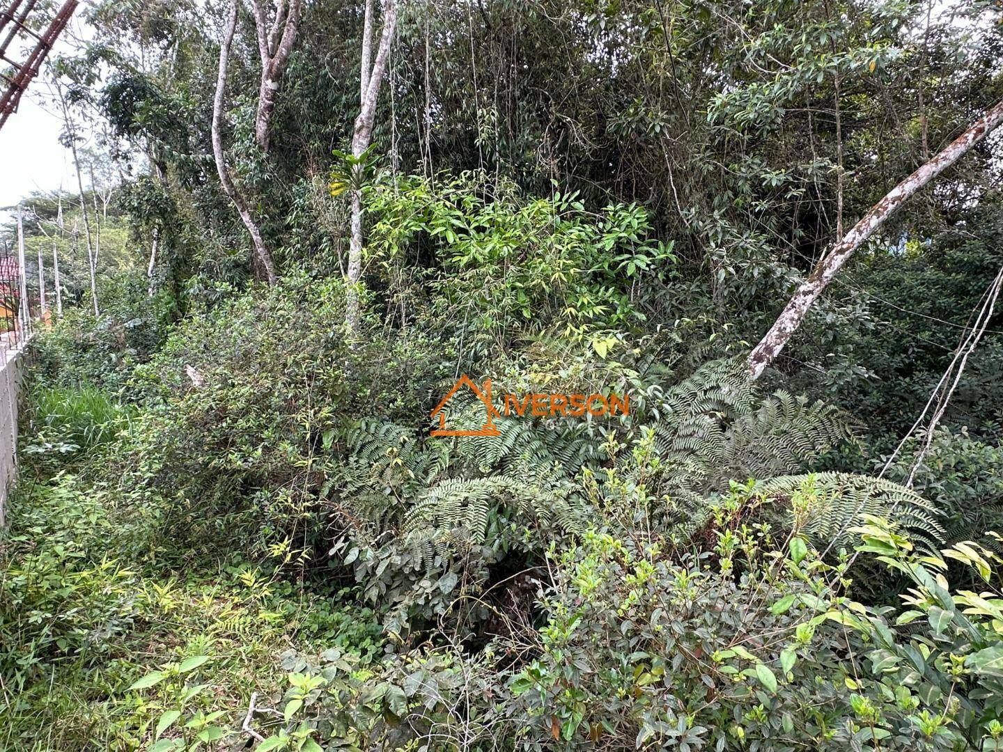 Loteamento e Condomínio à venda, 1000M2 - Foto 2