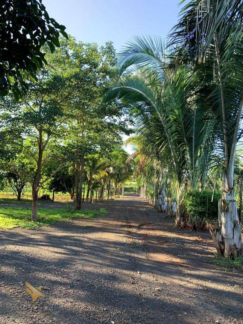 Chácara à venda com 4 quartos, 70000M2 - Foto 28