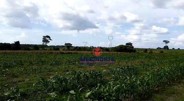 Fazenda à venda com 1 quarto, 22120000M2 - Foto 21