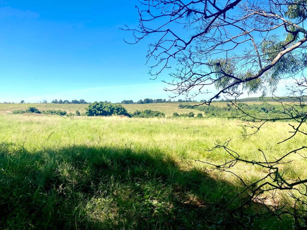Fazenda-Sítio-Chácara, 73 hectares - Foto 4
