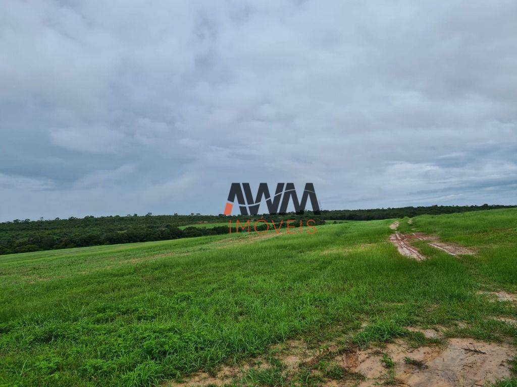 Fazenda à venda, 18220000M2 - Foto 6