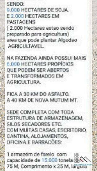 Fazenda à venda com 5 quartos, 500m² - Foto 14