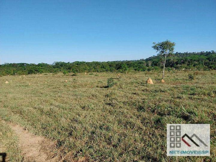 Fazenda à venda com 5 quartos, 500m² - Foto 1