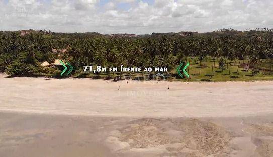 Terreno, 11 hectares - Foto 4