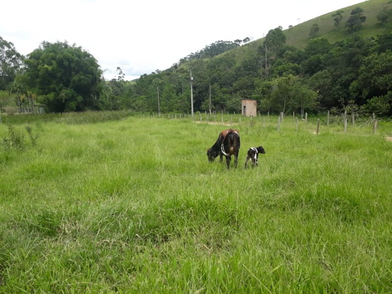 Chácara à venda com 2 quartos, 608m² - Foto 8