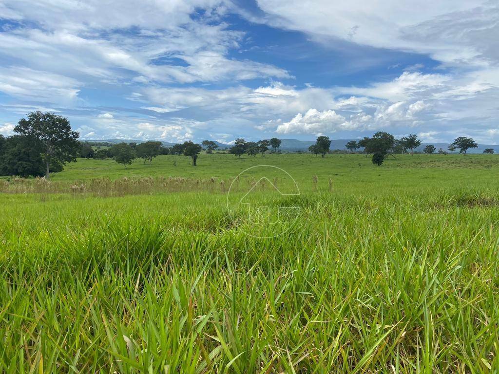 Fazenda-Sítio-Chácara, 484 hectares - Foto 2