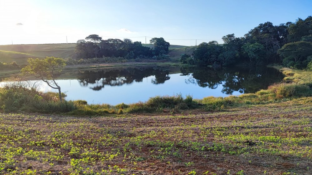 Fazenda à venda, 13m² - Foto 3