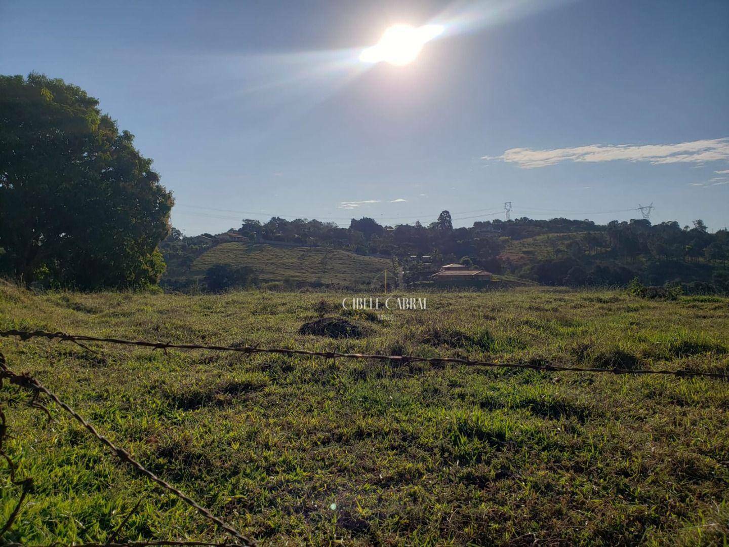 Terreno à venda, 5000M2 - Foto 4