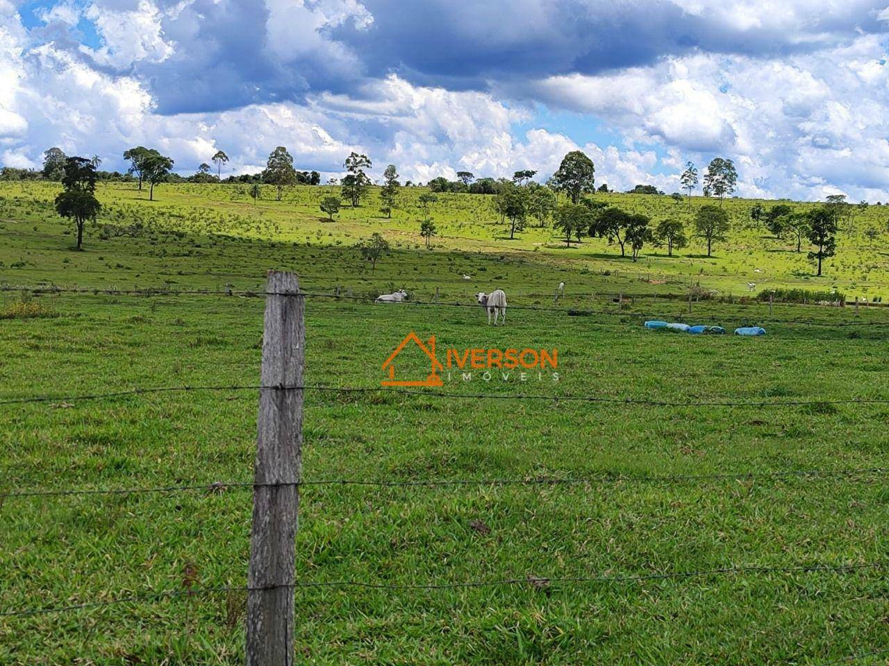 Fazenda à venda com 6 quartos, 1000m² - Foto 15