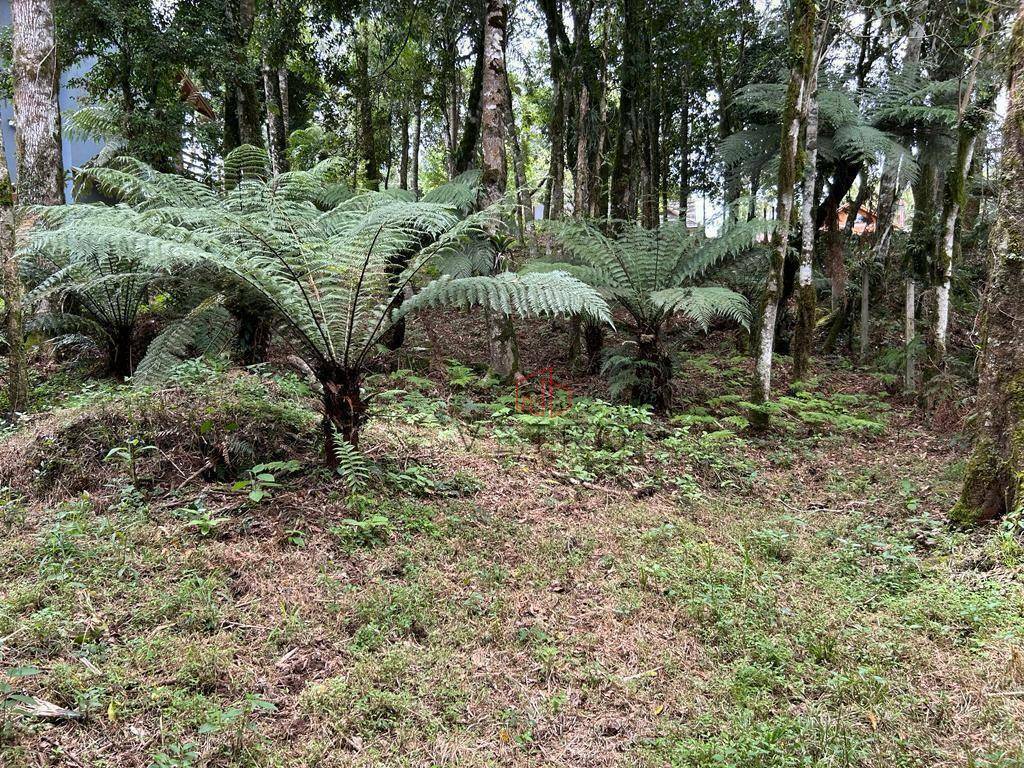 Loteamento e Condomínio à venda, 800M2 - Foto 11