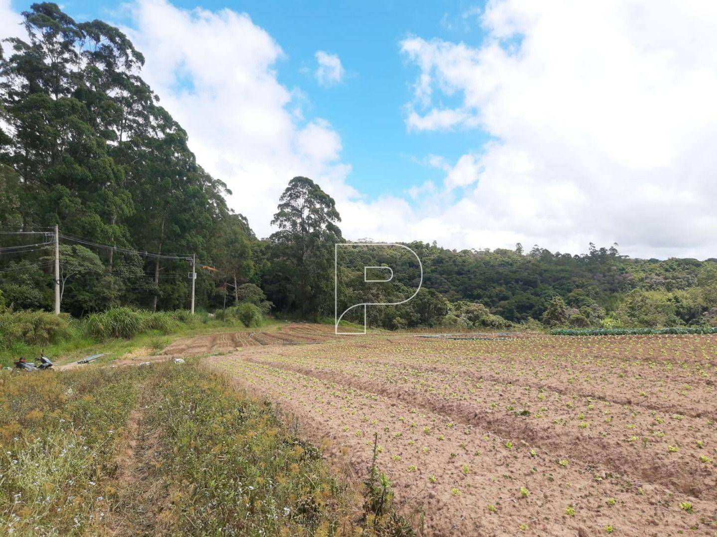 Terreno à venda, 39000M2 - Foto 4