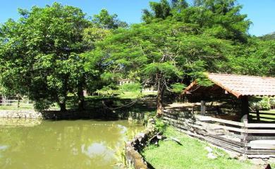 Fazenda à venda com 3 quartos, 33200m² - Foto 16