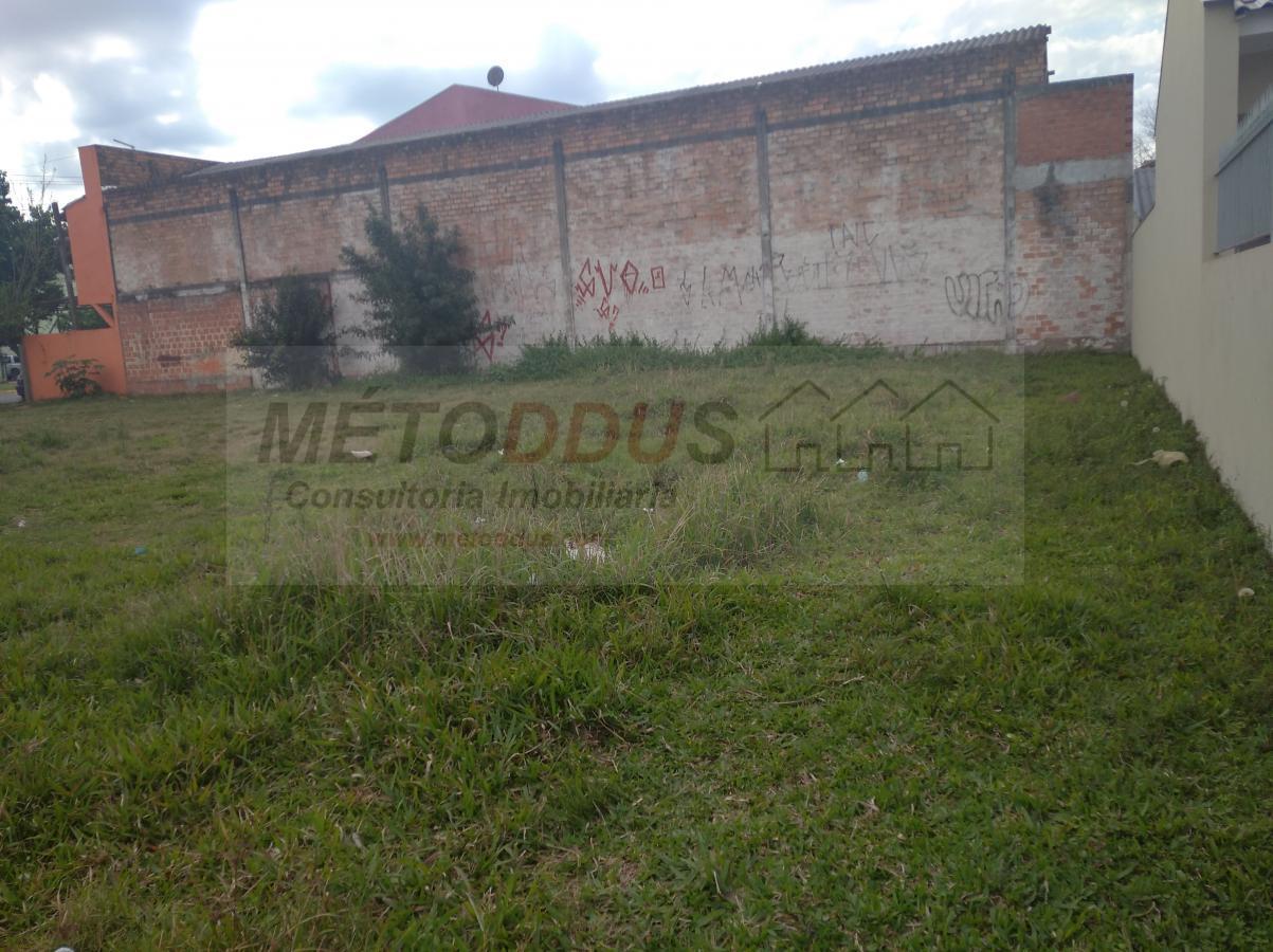 Terreno para alugar, 750m² - Foto 5