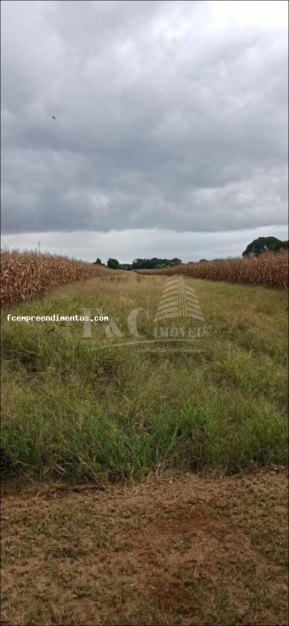 Terreno à venda, 64000m² - Foto 6