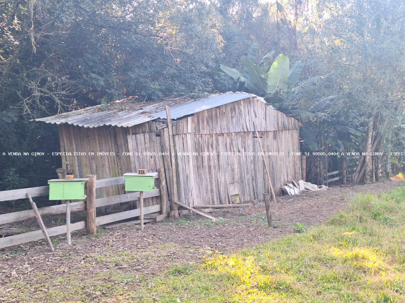 Fazenda à venda com 4 quartos, 80000m² - Foto 25