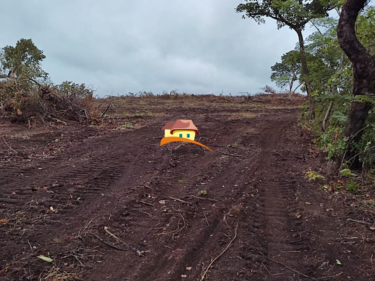 Fazenda à venda, 1m² - Foto 12