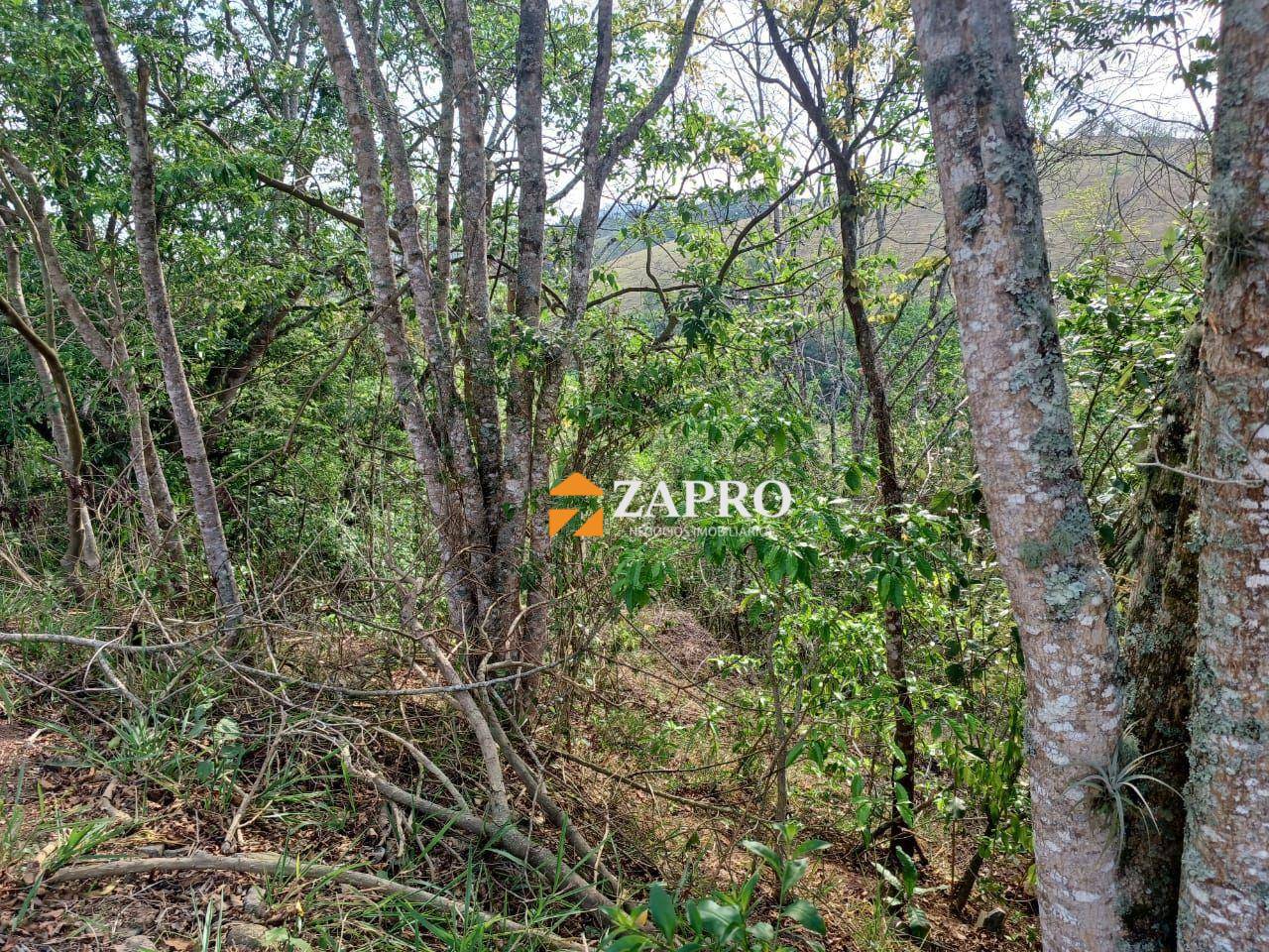 Terreno, 3 hectares - Foto 7