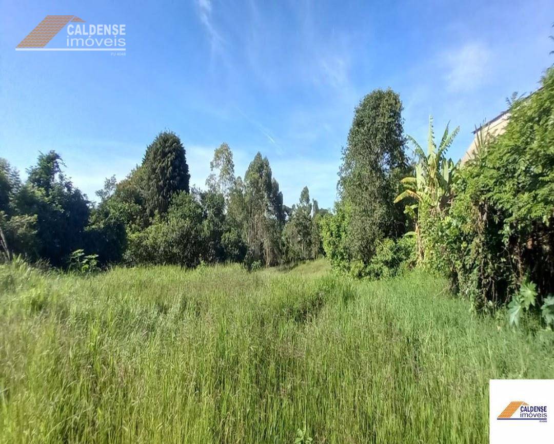 Terreno, 3250 m² - Foto 4