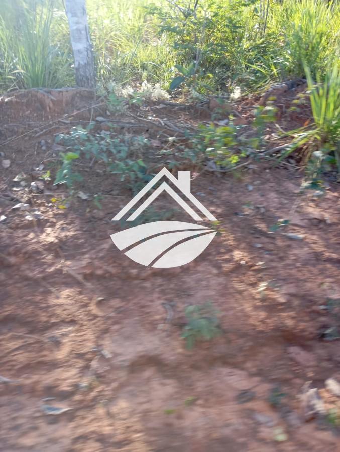 Fazenda à venda, 1m² - Foto 4