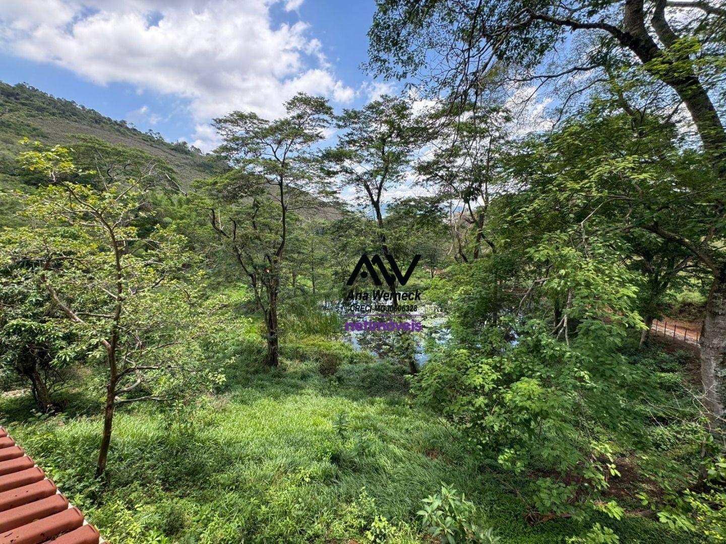 Fazenda, 49 hectares - Foto 2