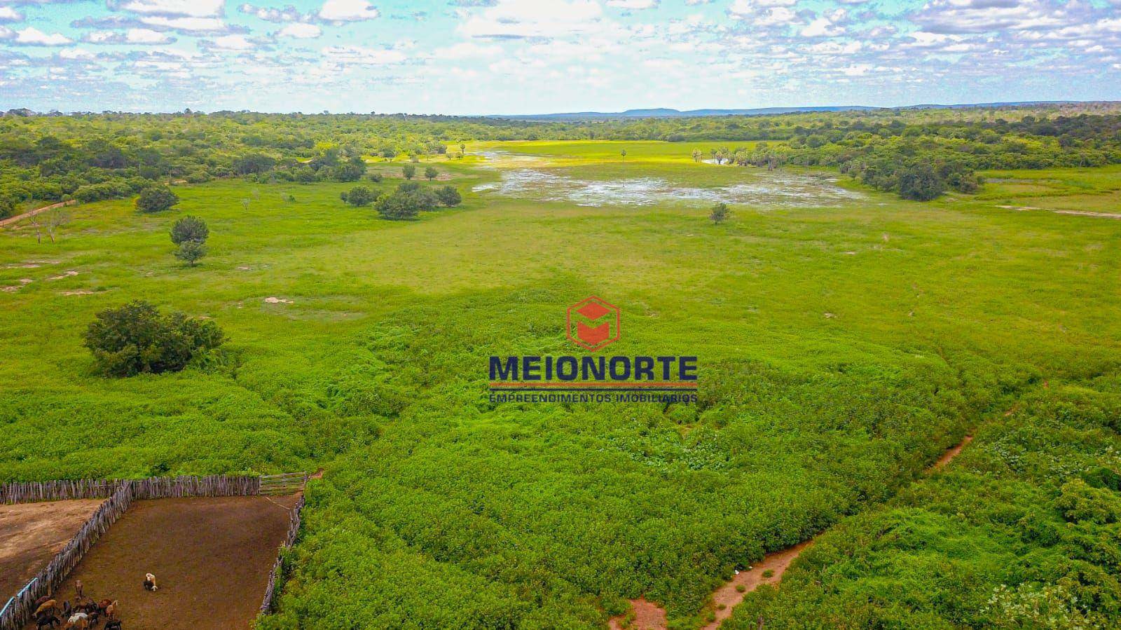 Fazenda à venda com 1 quarto, 99000000M2 - Foto 1