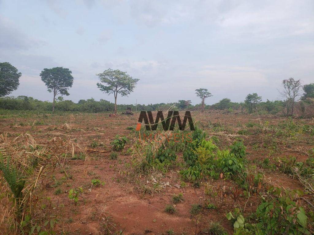 Fazenda, 4306 hectares - Foto 14