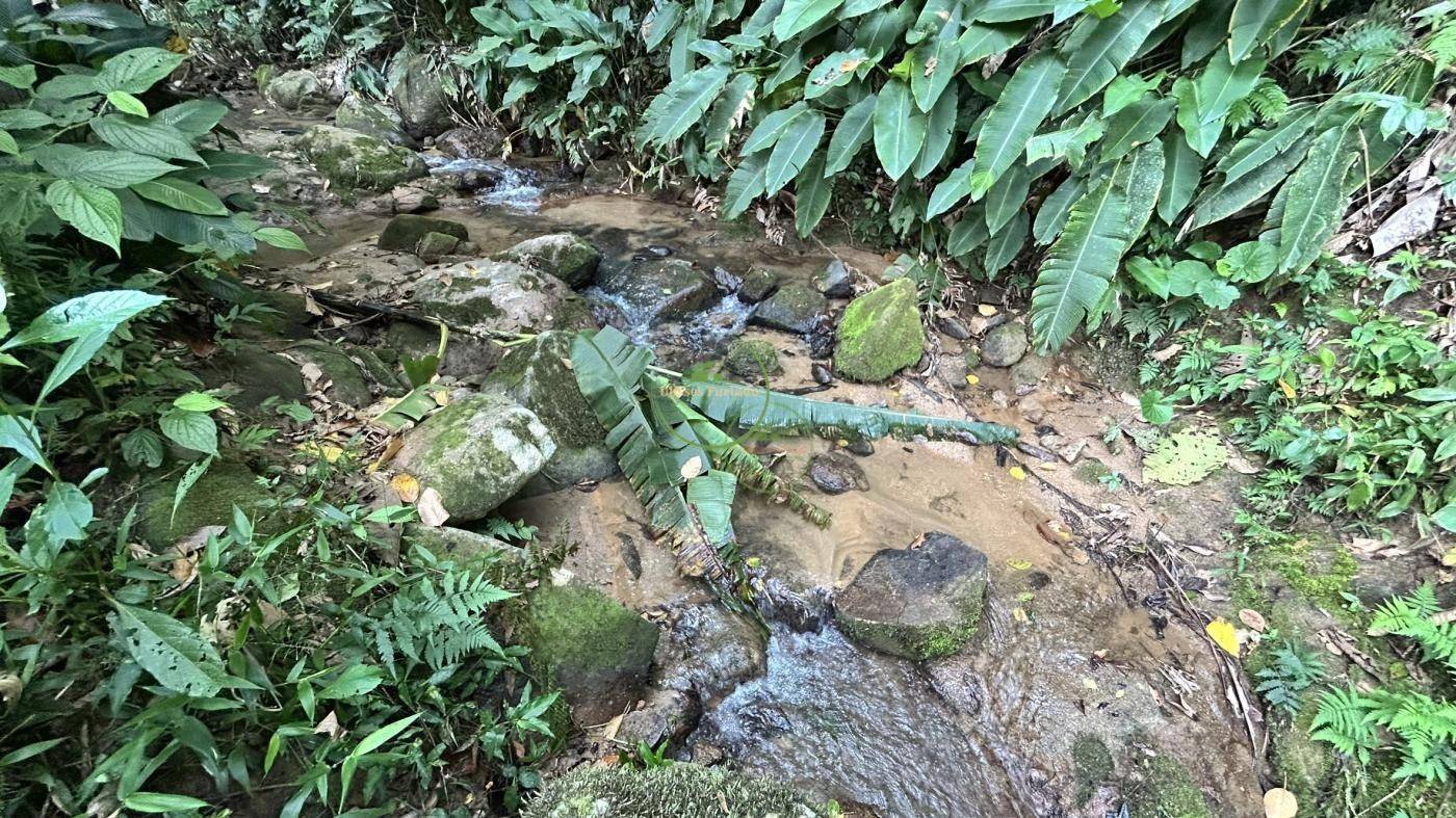 Terreno, 1800 m² - Foto 7