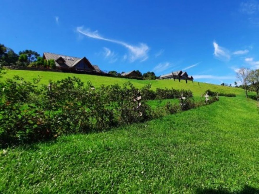 Fazenda à venda com 6 quartos, 1000m² - Foto 15