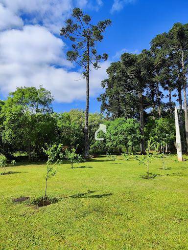 Chácara à venda com 3 quartos, 150m² - Foto 22