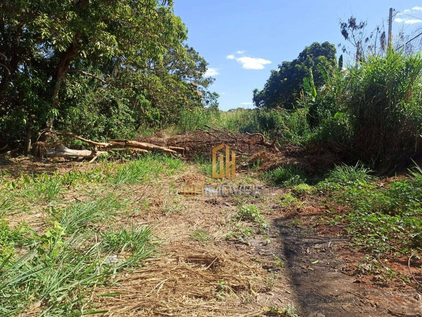 Terreno à venda, 8181M2 - Foto 16