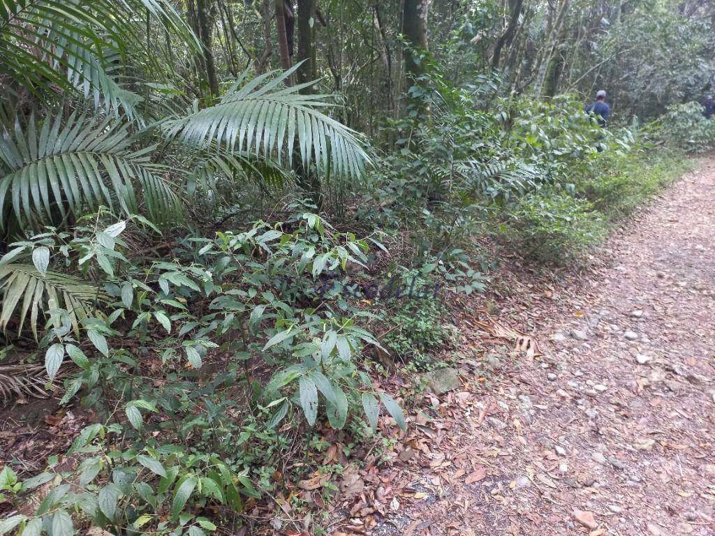 Terreno à venda, 6000M2 - Foto 7