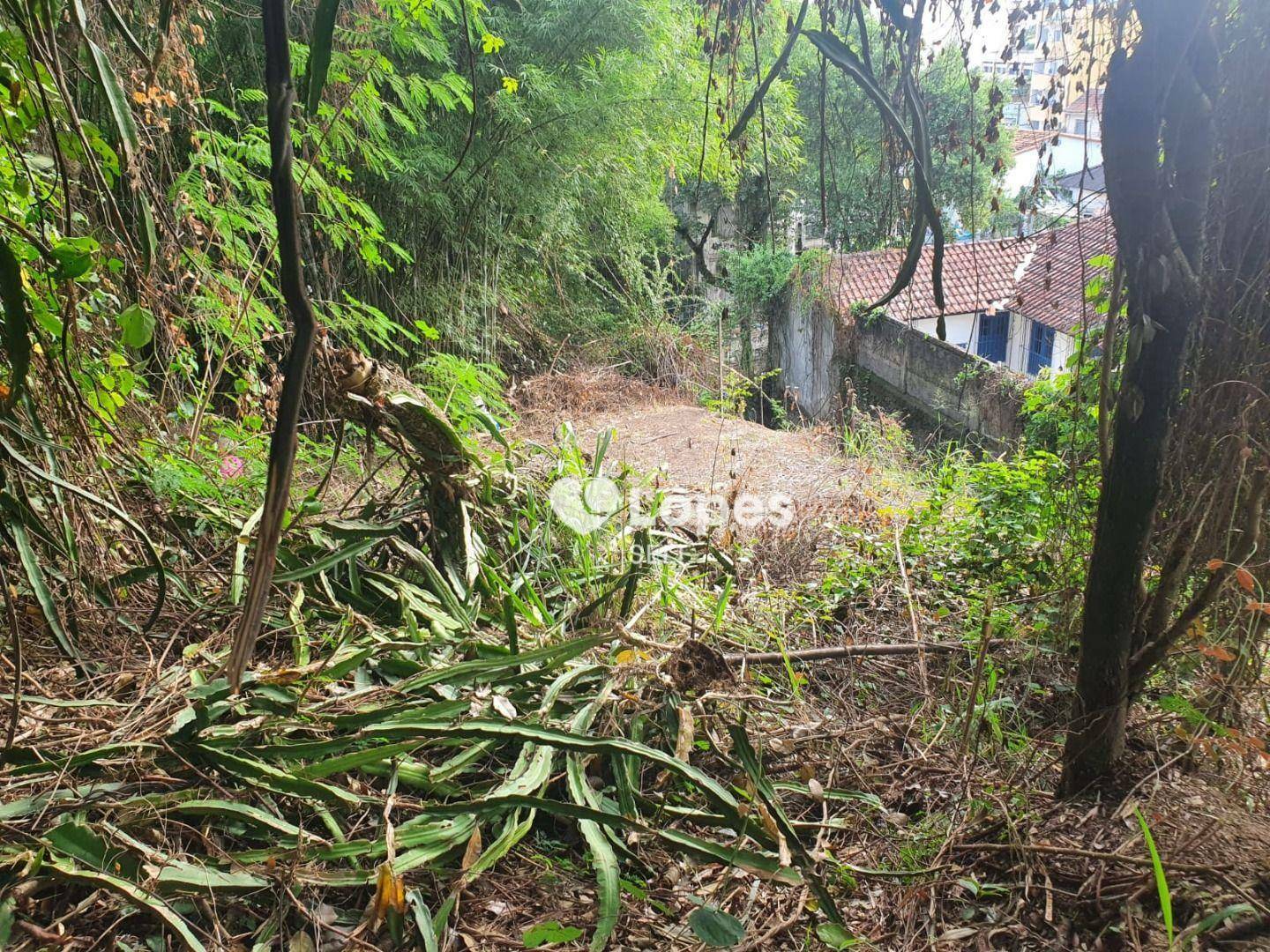 Terreno, 600 m² - Foto 2