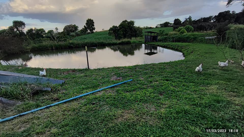 Fazenda à venda com 2 quartos, 8m² - Foto 5