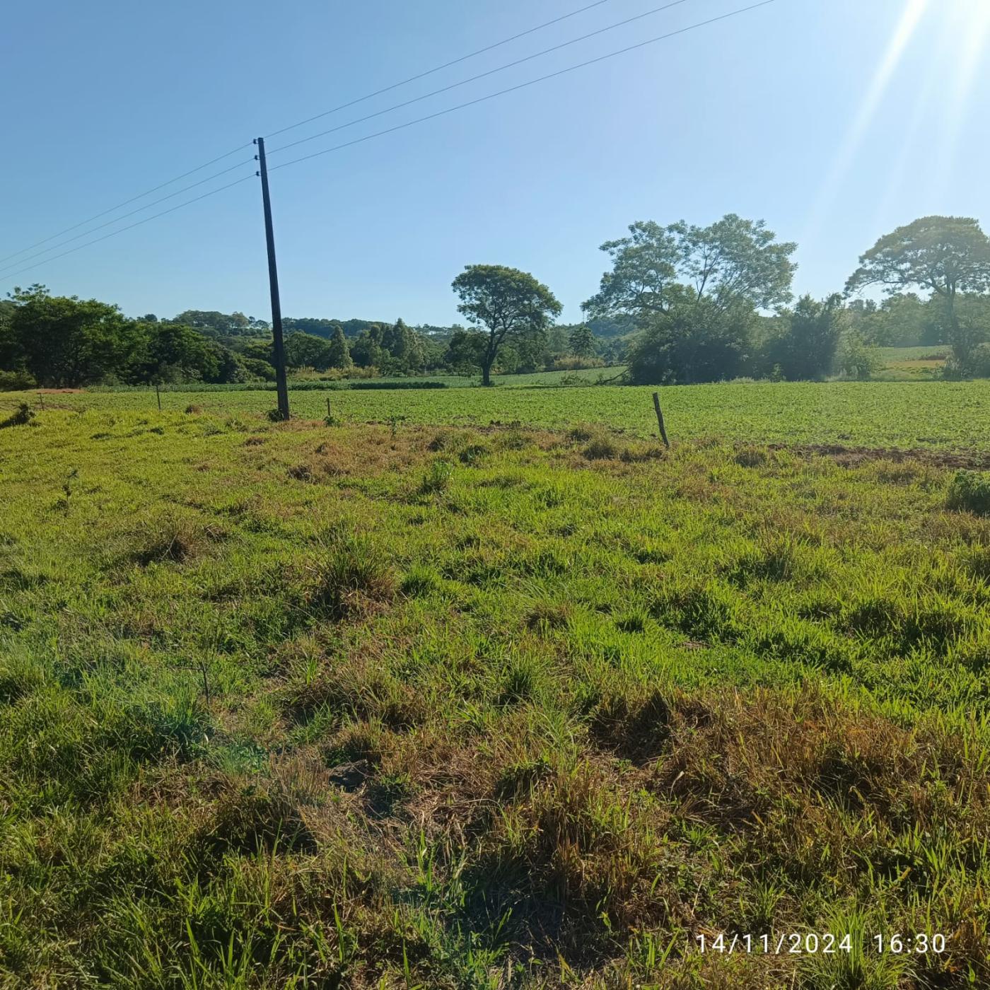 Fazenda à venda, 81160m² - Foto 27